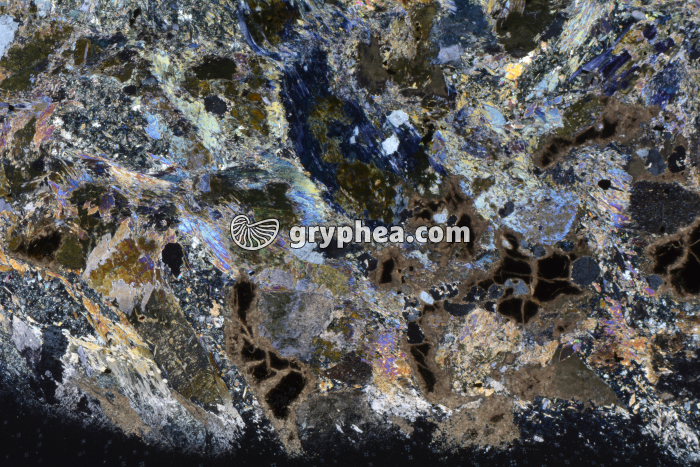 Métagabbro à Glaucophanite LPA x3,5 - gryphea.org